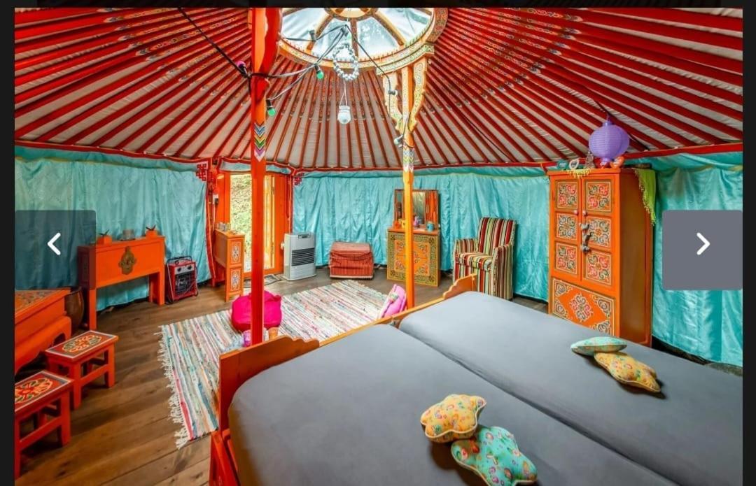 Yourte Mongole Et Cabane อูฟฟาลีซ ภายนอก รูปภาพ